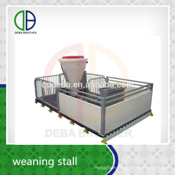 Hot Dip Galvanized Pipe Livestock Equipment Pig Weaner Stall